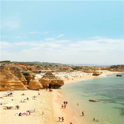 波胆app官网app下载